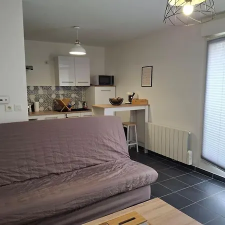 T1 Meuble Avec Piscine Commune * ميزيو