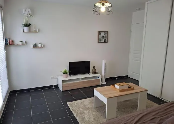 Appartement T1 Meuble Avec Piscine Commune *