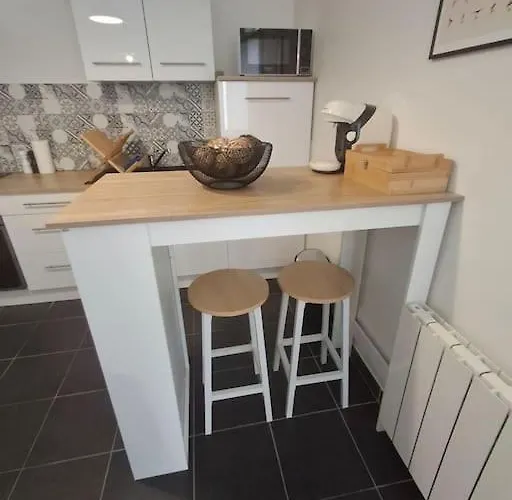 Appartement T1 Meuble Avec Piscine Commune Meyzieu