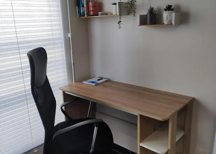 Appartement T1 Meuble Avec Piscine Commune Meyzieu